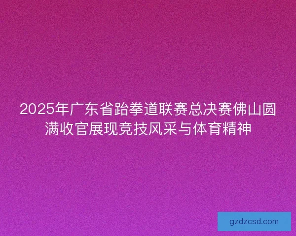 2025年广东省跆拳道联赛总决赛佛山圆满收官展现竞技风采与体育精神