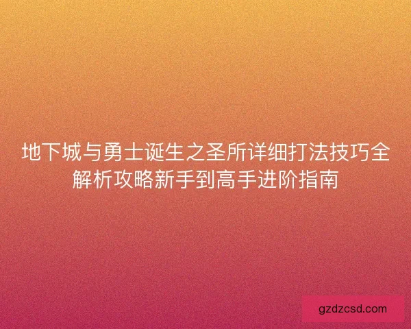 地下城与勇士诞生之圣所详细打法技巧全解析攻略新手到高手进阶指南