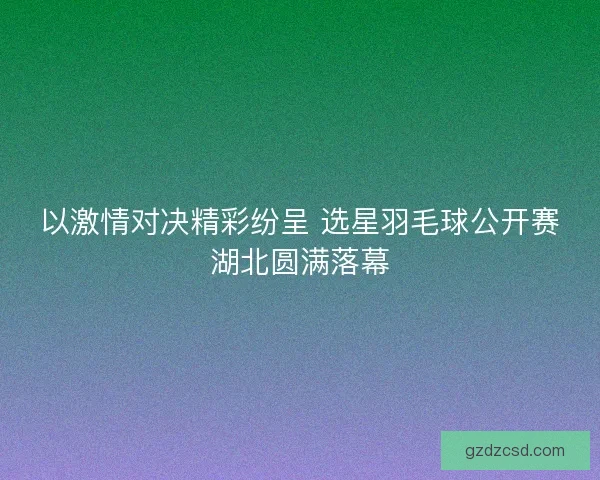 以激情对决精彩纷呈 选星羽毛球公开赛湖北圆满落幕